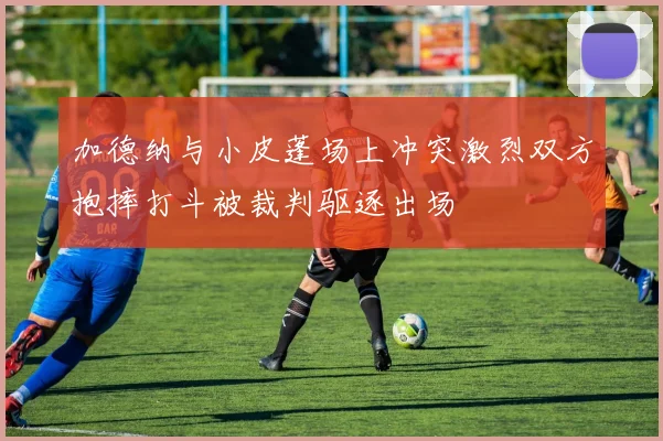 加德纳与小皮蓬场上冲突激烈双方抱摔打斗被裁判驱逐出场